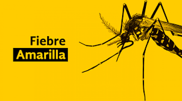 La fiebre amarila