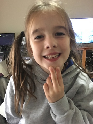 llegó el ratón Perez