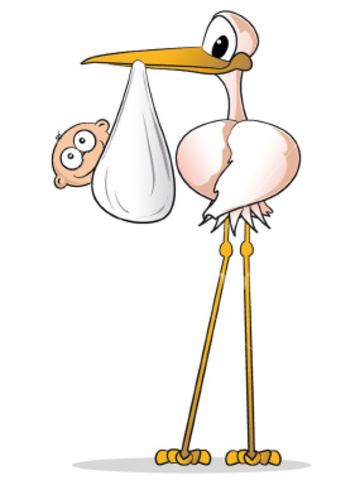 Clive Staples Lewis is Born