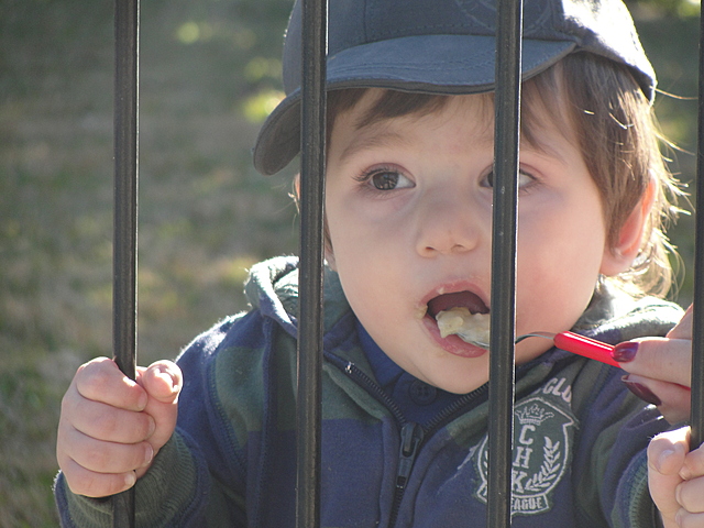 MIS PRIMERAS COMIDAS