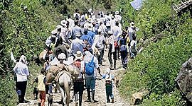 Timeline: migraciones en Colombia