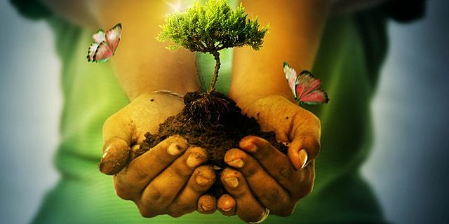 Objetivo de la acción ambiental.