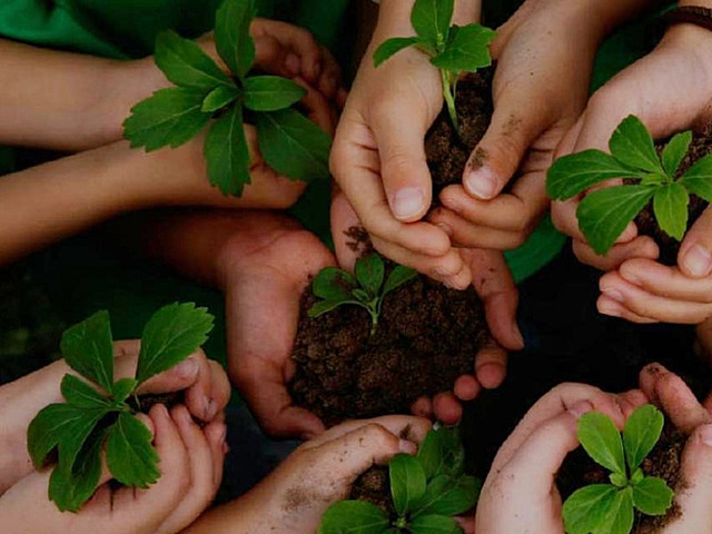 Propuestas de la Educación.