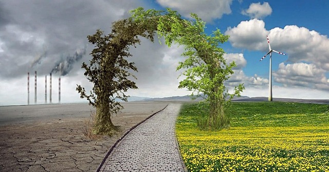 Principios de los problemas ambientales.