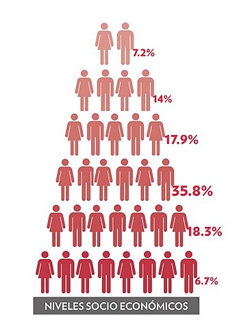 Nivel socio económico alto