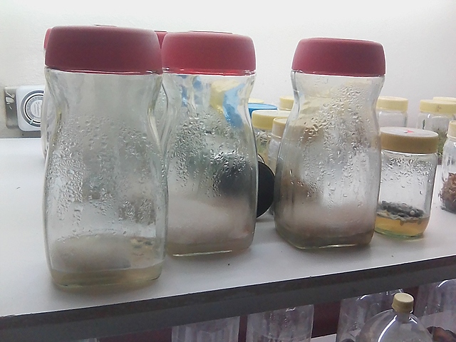 Revisión de contaminación