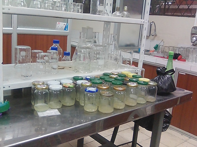 Preparacion del medio de cultivo (tanda 2)