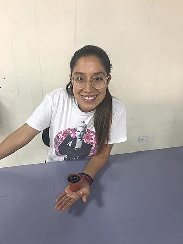 Día de la siembra - Suculenta