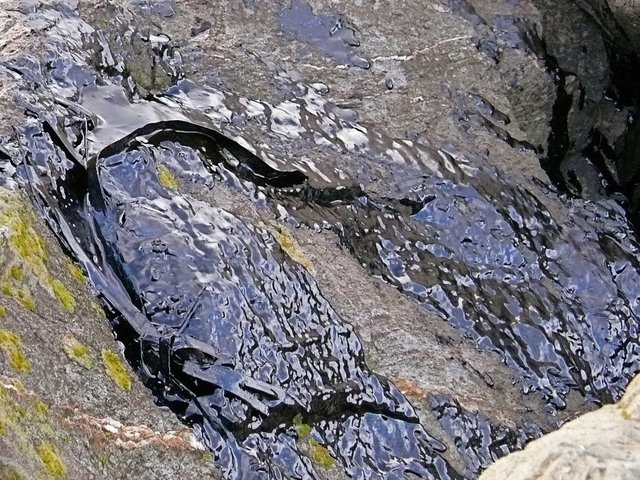 Oil Spill in the Gulf