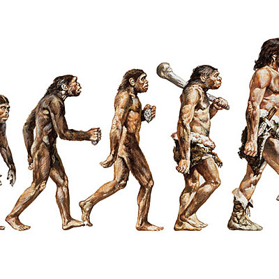 Timeline: Homínidos