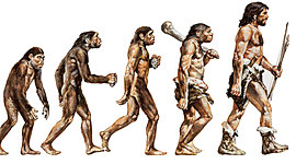 Timeline: Homínidos