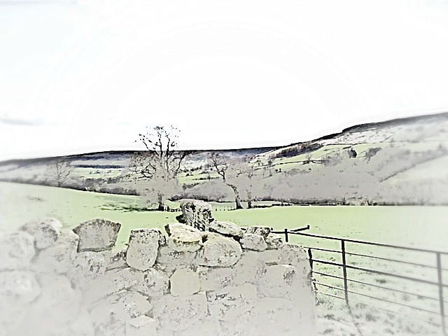 Bike racing Olivers mount