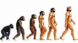 Timeline: LOS HOMÍNIDOS