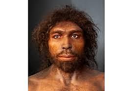 Homo antecessor