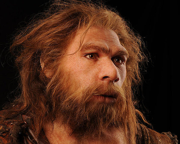 HOMO NEANDERTHALENSIS