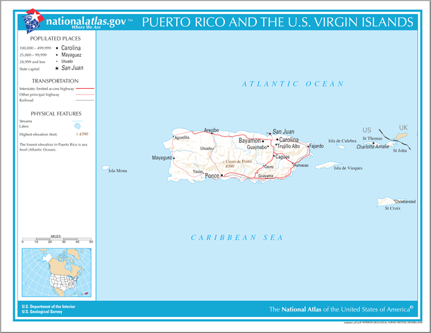 International Traveler