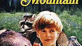 Timeline: my side of the mountain - AF