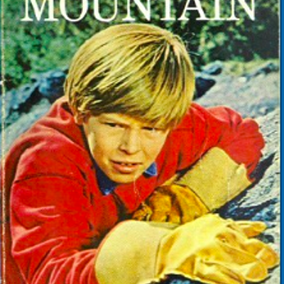 Timeline: My side of the Mountain-AY