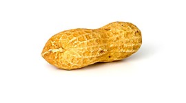 Timeline: Christians timeline