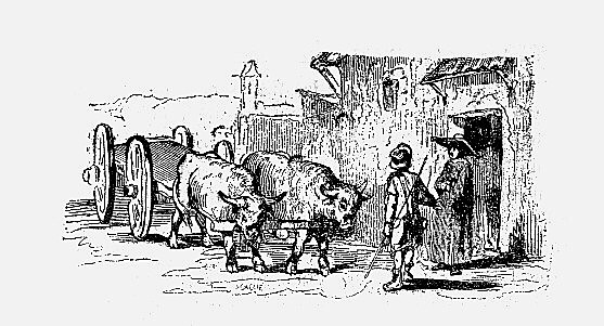 capitulo 7, su escudero