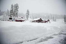 The sauces first snow day