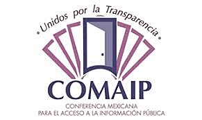 Se conformo COMAIP para impulsar los principios de transparencia