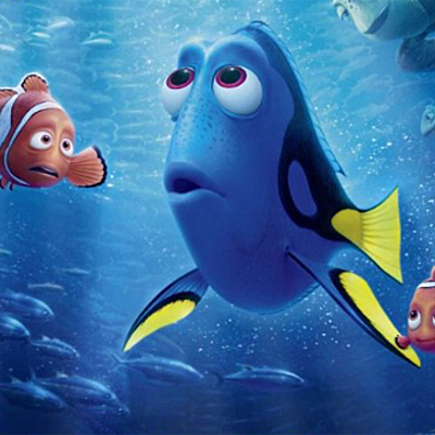 Timeline: kassandras life