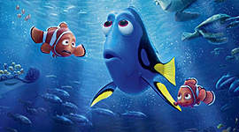 Timeline: kassandras life