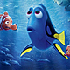 Dory