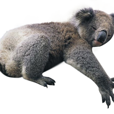 Timeline: US History Timeline