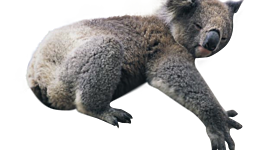 Timeline: US History Timeline