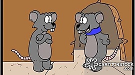 Timeline: The Plague: Black Is The New Death