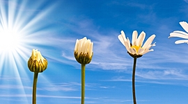 Timeline: EL DESARROLLO Y EVOLUCIÓN DE LOS MODELOS PEDAGÓGICOS Y DEL CURRÍCULO