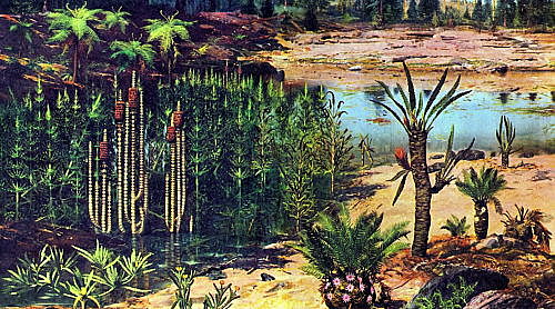 Primeros dinosaurios,diversidad de coníferas.