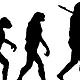 Evolucion1 2  644x250