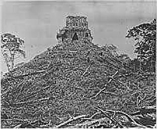 Temple of the Cross Complex