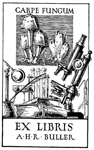 A.H.  Reginald Buller