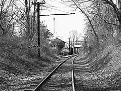 Transcontinental Railroad completed