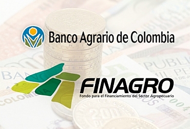 sistema financiero en el siglo XX