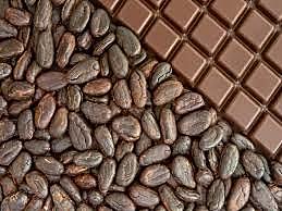Cocoa beans