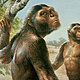 Australopithecus
