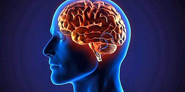 El Cerebro Contaminado De Mexico