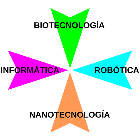 ramas de la informatica