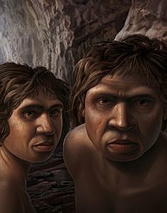 Homo Antecessor