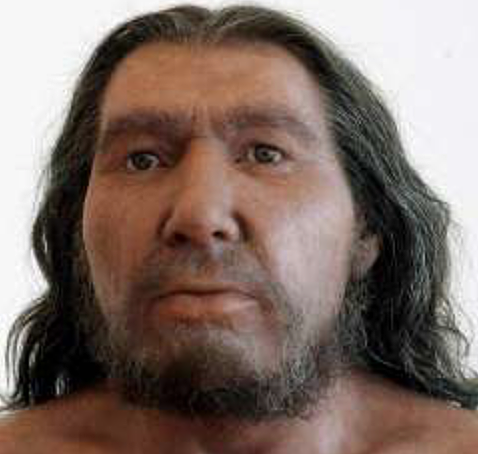 Homo Sapiens Sapiens