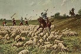 Capítulo 17, Donde se cuentan las razones que pasó Sancho Panza con su señor don Quijote, con otras aventuras dignas de ser contadas