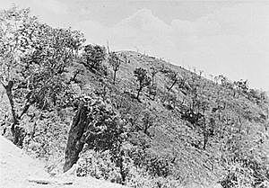 Japòn intenta invadir India