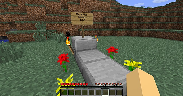 My minecraft dog died