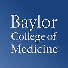 First year at Baylor's medical school