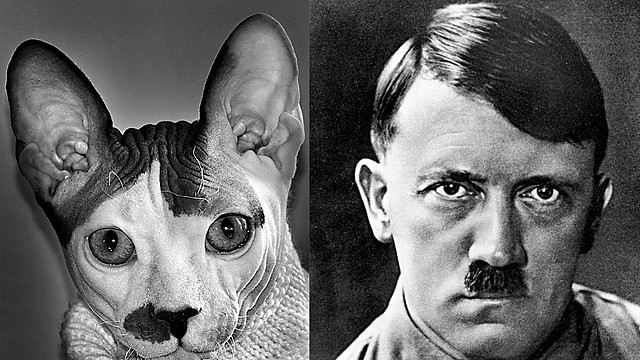 Adolf Hitler's rise to power in Germany